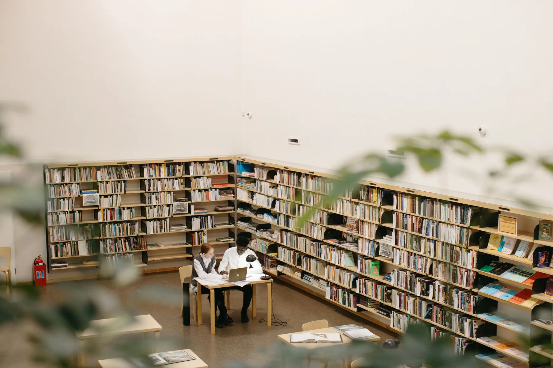 Students working together in a library